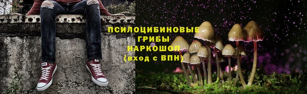 PSILOCYBIN Горнозаводск